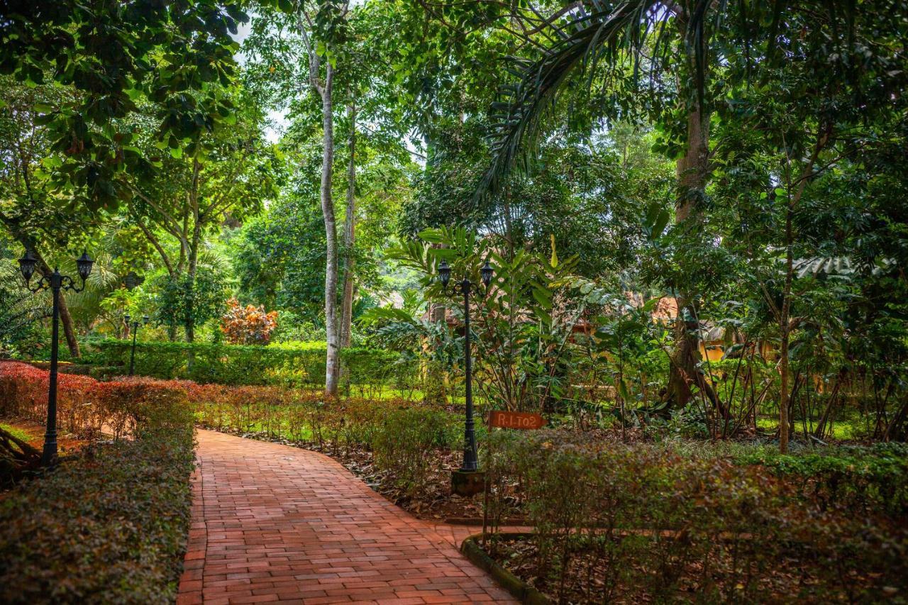 Brovad Sands Lodge Kalangala المظهر الخارجي الصورة