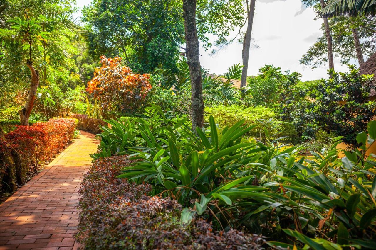 Brovad Sands Lodge Kalangala المظهر الخارجي الصورة